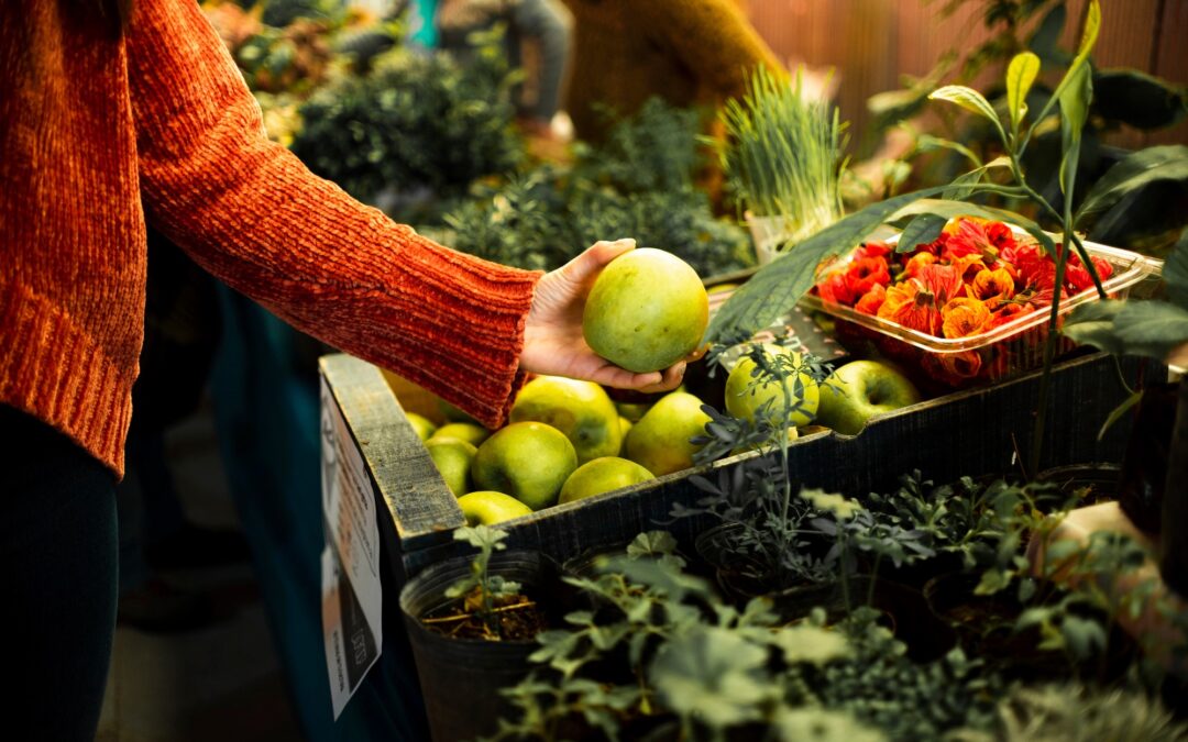 The Rise of Processed Food: Embracing Whole Foods for Gut Health as a healthier alternative