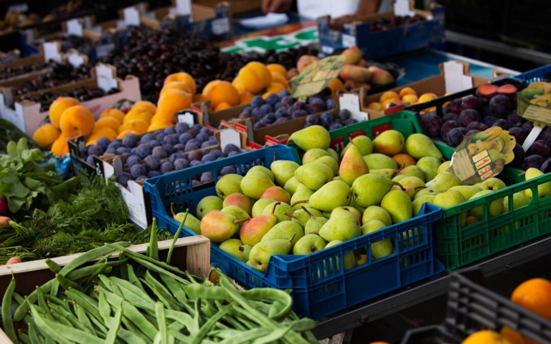 Gut Microbiota and Parkinson’s: Targeting the Gut-Brain Axis for Better Management