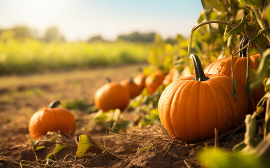 Pumpkin Perfect: Embrace the Halloween Season with Healthy Eating and Creative Recipes 
