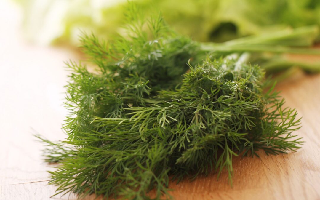 What Is Stomach Acid and What Does It Do? 