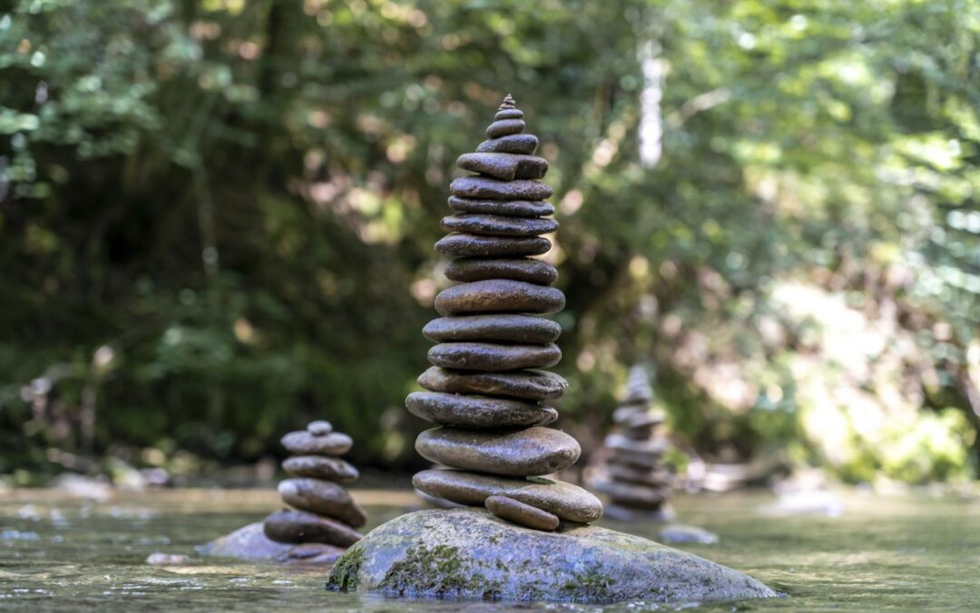 How Gut Health and Bone Strength Are Linked in Osteopenia 