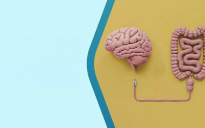 Brain-First or Gut-First Rethinking Parkinsons Disease