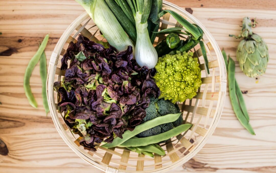 Food Sensitivities and Immune Tolerance 