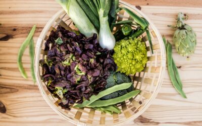 Food Sensitivities and Immune Tolerance 